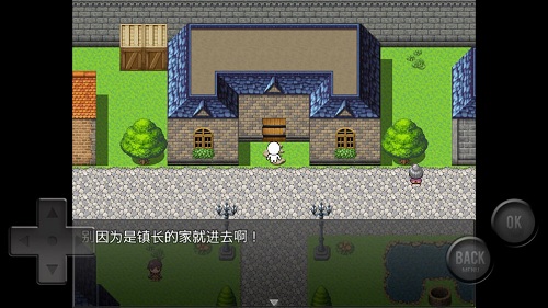 前卫的粪作RPG