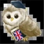 英语app