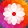 动态壁纸大全app