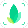 识物扫一扫app