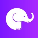 大象恢复助手最新版软件下载