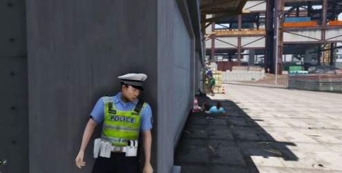 警察任务模拟器游戏 