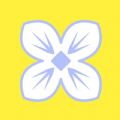 丁香花转发