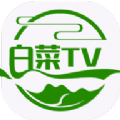 白菜TV