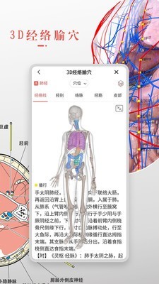 3DBody解剖 免费版