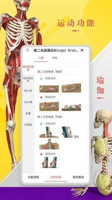 3DBody解剖 免费版