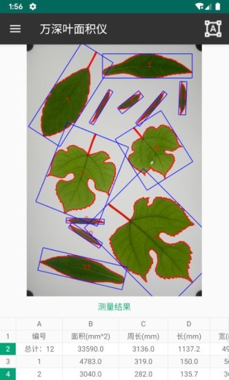 万深植物图像分析仪