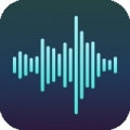 专业变声大师安卓版