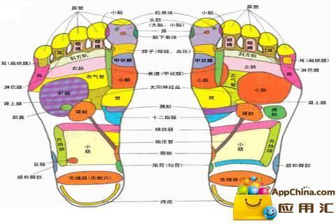 图解脚部按摩