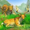 丛林狩猎动物2021