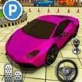 停车场终极挑战安卓版  v1.0.1