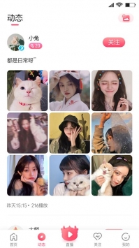 大麟商娱直播软件