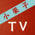 小果子t