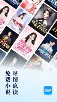 疯读小说最新版