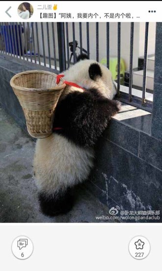 柚次元官网版