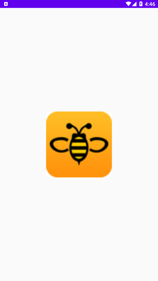 轻蜂网络助手app