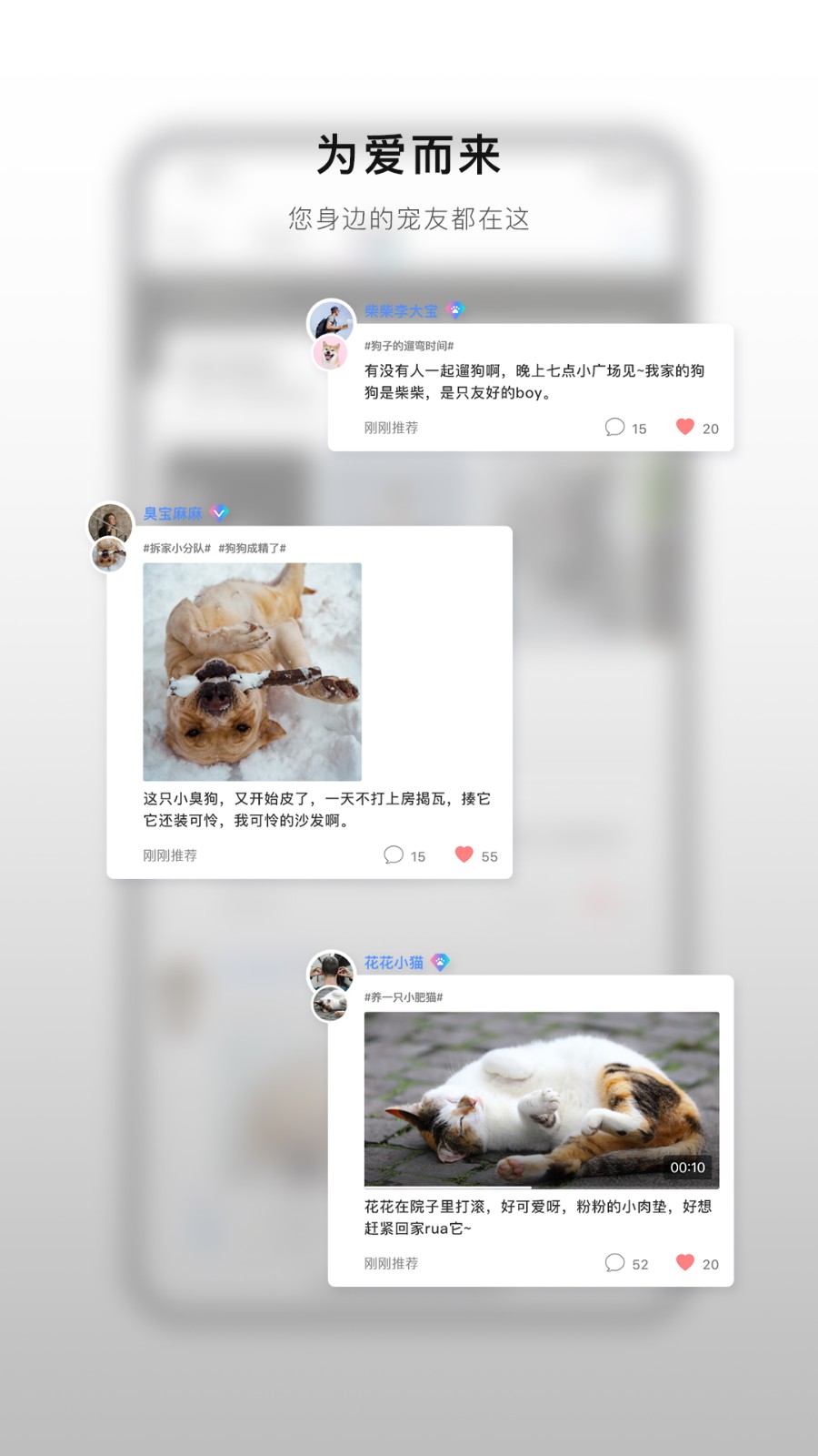 小它社区app