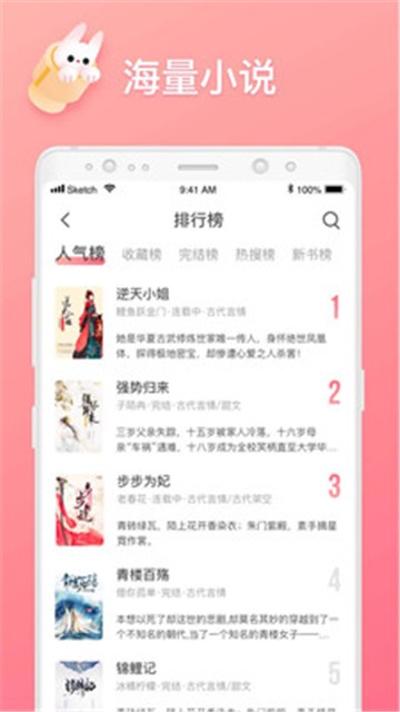 网红小说