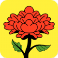 芍药花app