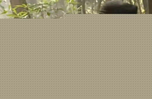 你再不哄我,我就是别人家的小宝贝了表情包