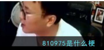 810975梗的含义及出处