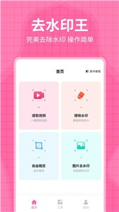 水印消除大师