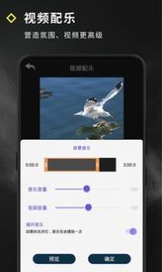 video effect视频编辑app官方下载 