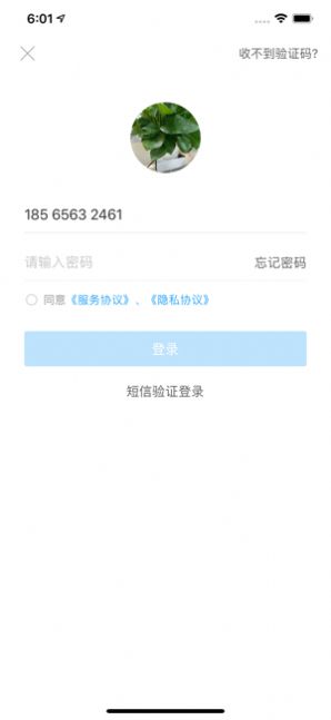 桐行通app2.0版