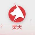今日头条灵犬app官方版 v8.6.0