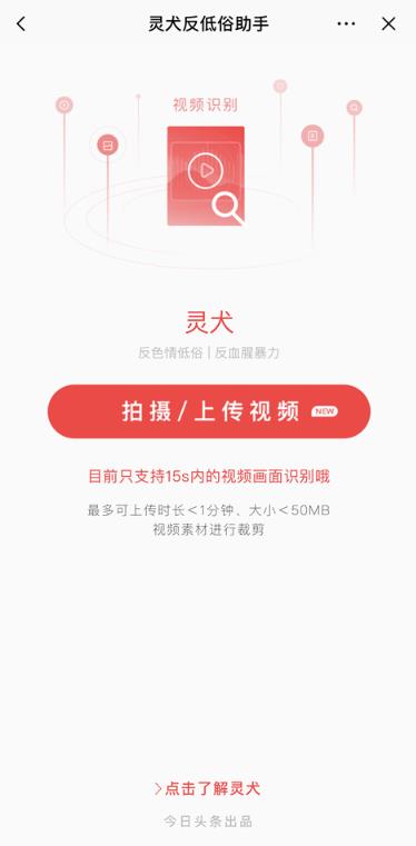今日头条灵犬app官方版 v8.6.0