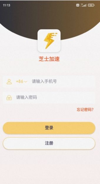 芝士加速