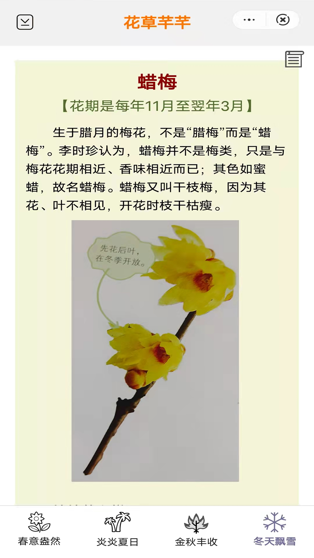 花草芊芊