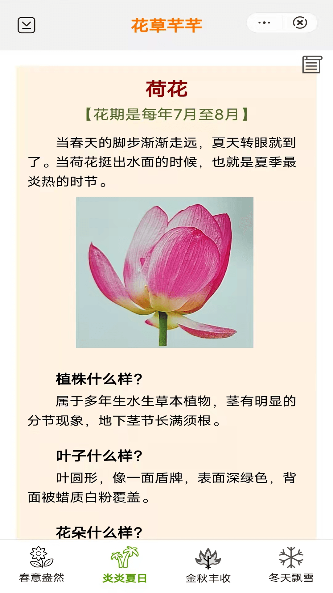 花草芊芊