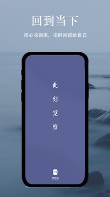 冥想猫睡眠