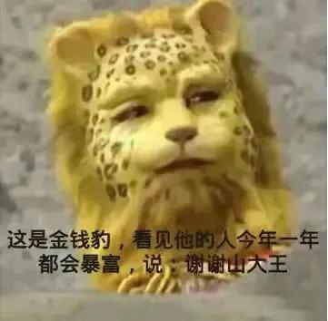 金钱豹头像图片西游记高清版 v1.0