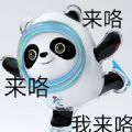 2022北京冬奥会雪容融冰墩墩熊猫头图片表情包官方版 v1.0