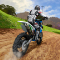 越野摩托车冠军游戏安卓版（dirt bike） v1.2