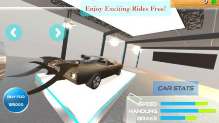 car simulator